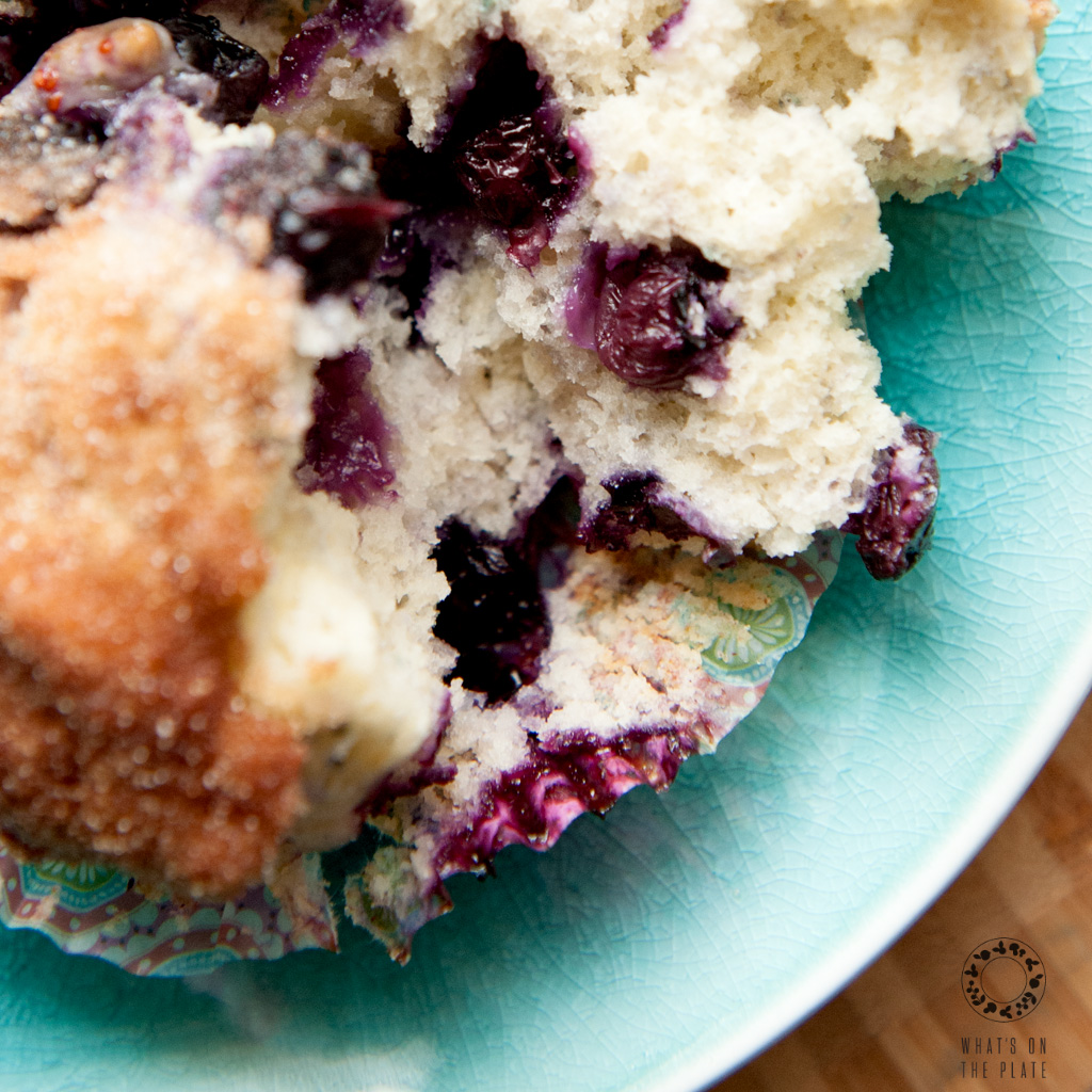 blueberry muffin