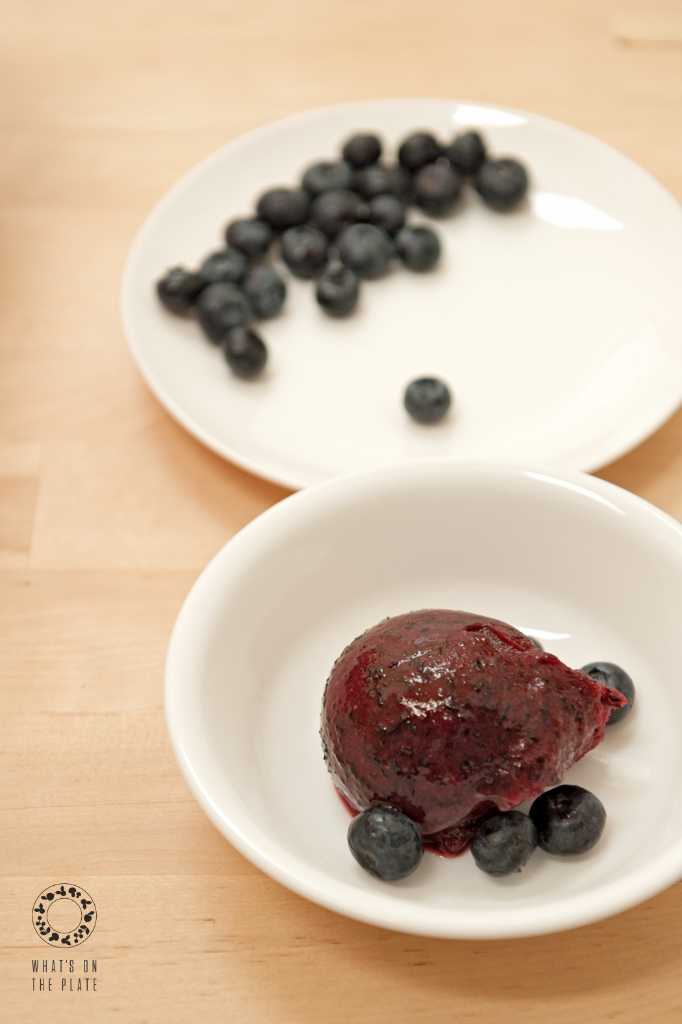 Blueberry Sorbet